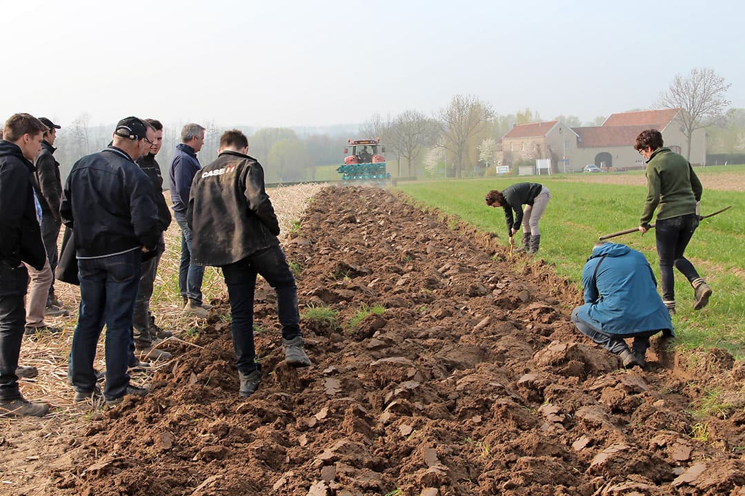 Brigitte Kroonen toont op de geploegde percelen van Proefboerderij Wijnandsrade hoe de ploegdiepte kan worden gemeten.