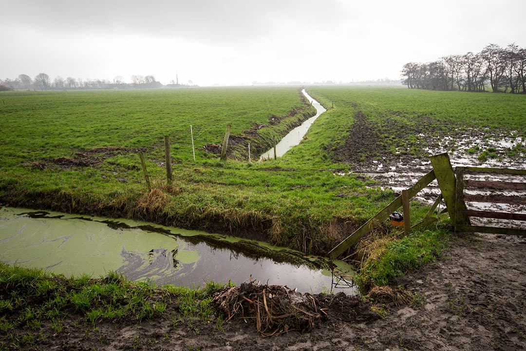 Foto's: Anne van der Woude