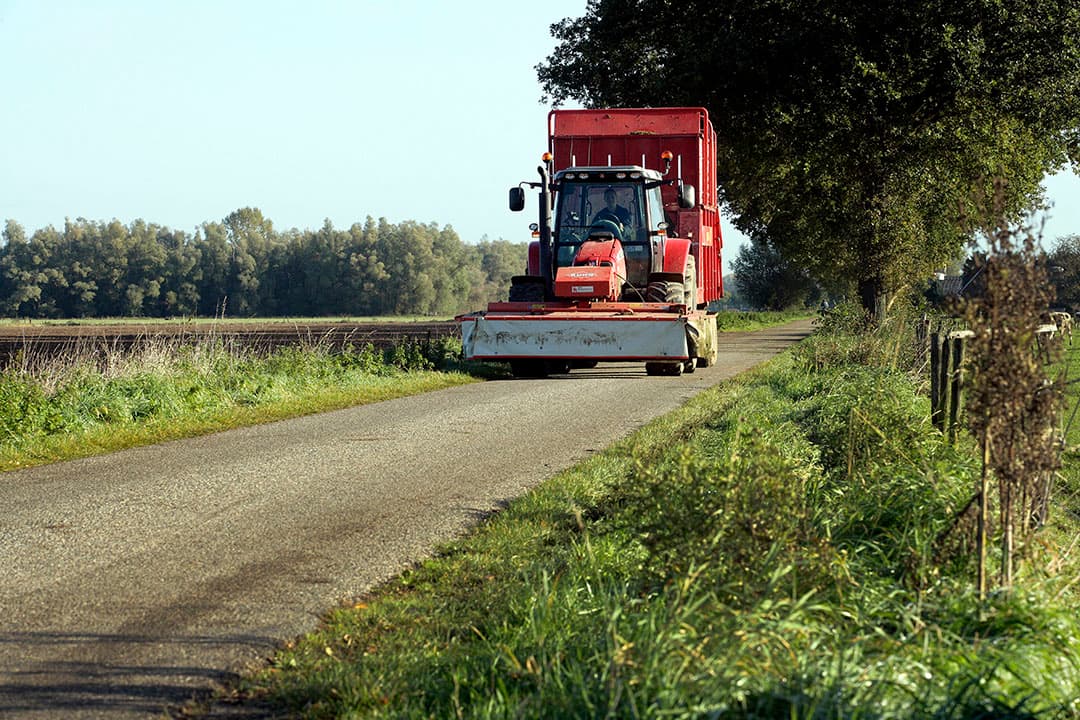 Foto: Henk Riswick