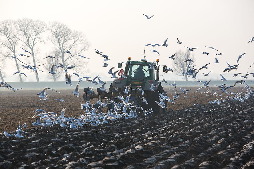 Foto: Peter Roek