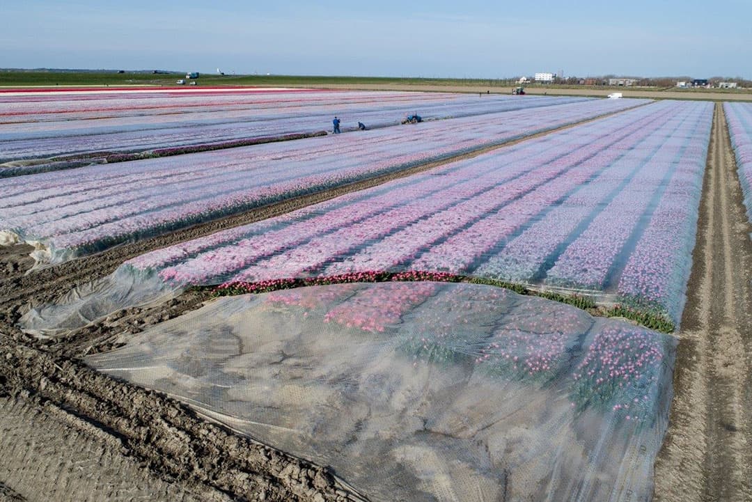 Met een Fendt-trekker op de kopakker kan nu de baan (in dit geval het vuile) plastic opgerold worden op een rol. Dit plastic wordt dus niet gerecycled.