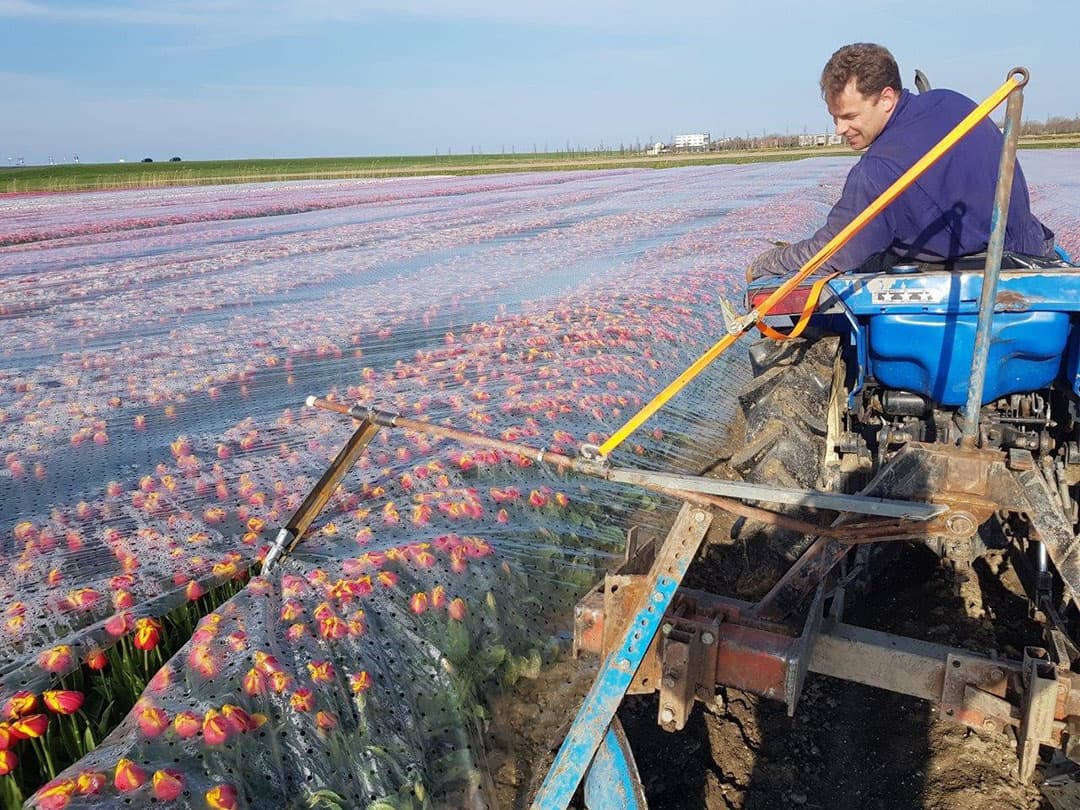 Kleur blijft natuurlijk inspirerend voor de toeschouwers. Alleen met het plastic er nog op kun je de kleuren eigenlijk alleen zien vanuit de lucht.