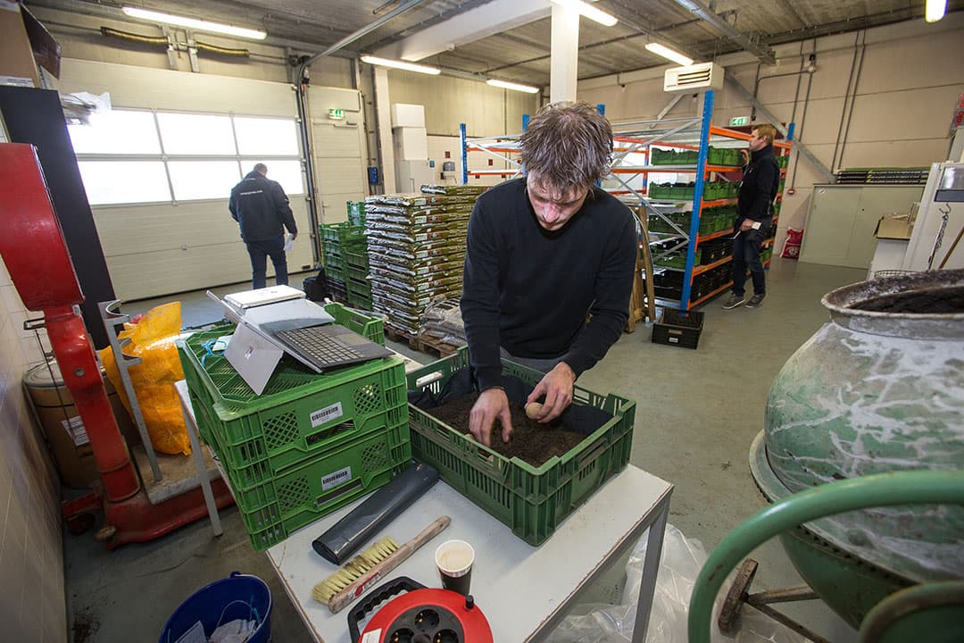 Het controleren van de sortering.