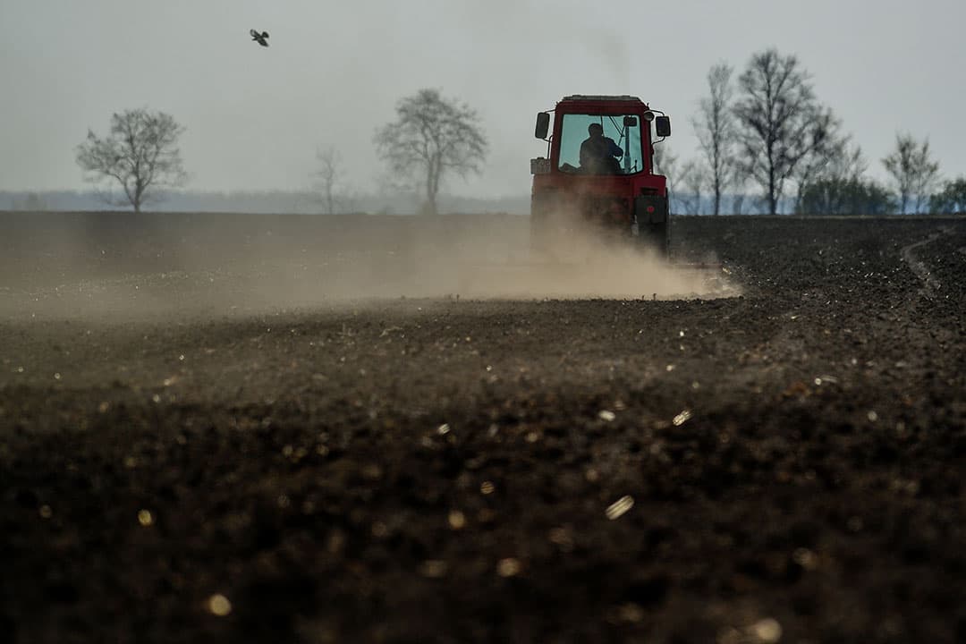Met het slepen van het grasland creeert Van Loo uit Berg en Terblijt (Limburg) een mooi streepjespatroon op het perceel. - Foto: Twan Wiermans