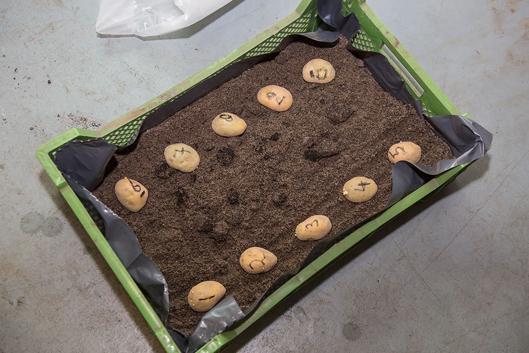 De poters worden gemarkeerd om achteraf de tellingen te koppelen aan het gewicht.