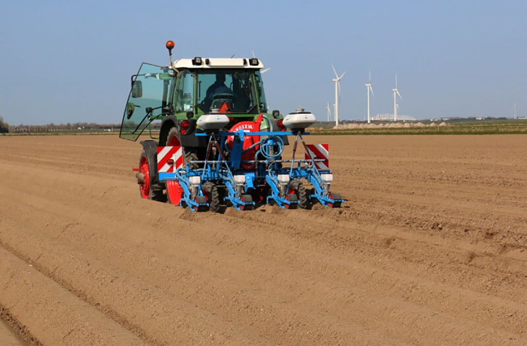 Tussen de werkzaamheden op het land foerageren de reeën.