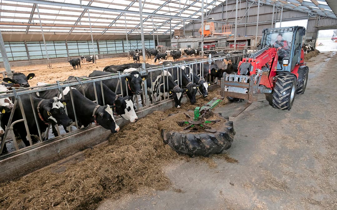 Slager had 2 opties om met de nieuwe omstandigheden om te gaan. De eerste was er geen: à ¬ 250.000 fosfaatrechten kopen voor 25 koeien. Zijn bank wilde dat niet financieren. Optie 2 was het jongvee bij een buurman uitbesteden. Een tijdelijke oplossing voor 2 jaar die Slager ¬ 10.000 tot ¬ 15.000 per jaar kostte.