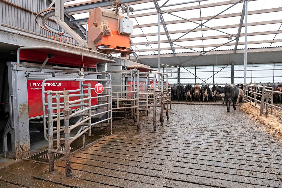 Wat Slager ergert is dat hij dit omschakelingsjaar   en ook straks   vaste mest moet afvoeren omdat hij aan de stikstofnorm vastzit. Dat vindt hij onbestaanbaar.  Die mest had ik dolgraag voor mijn eigen land willen gebruiken. Het past binnen de bedrijfskringloop. Elk maatwerk mist.