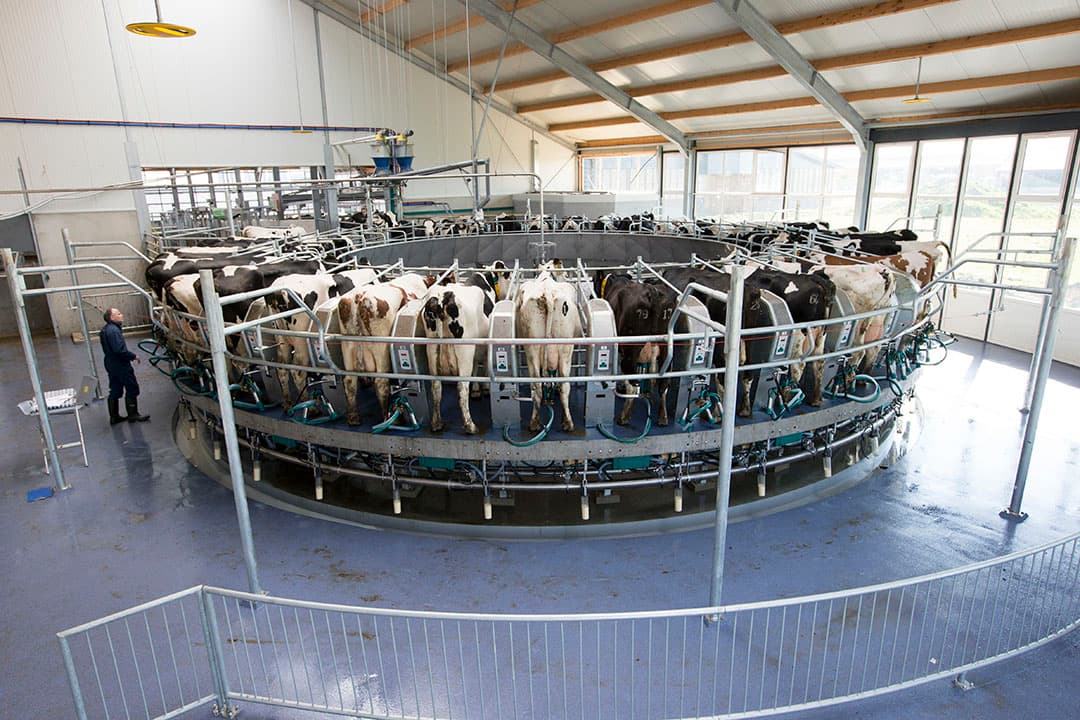 Foto: Anne van der Woude