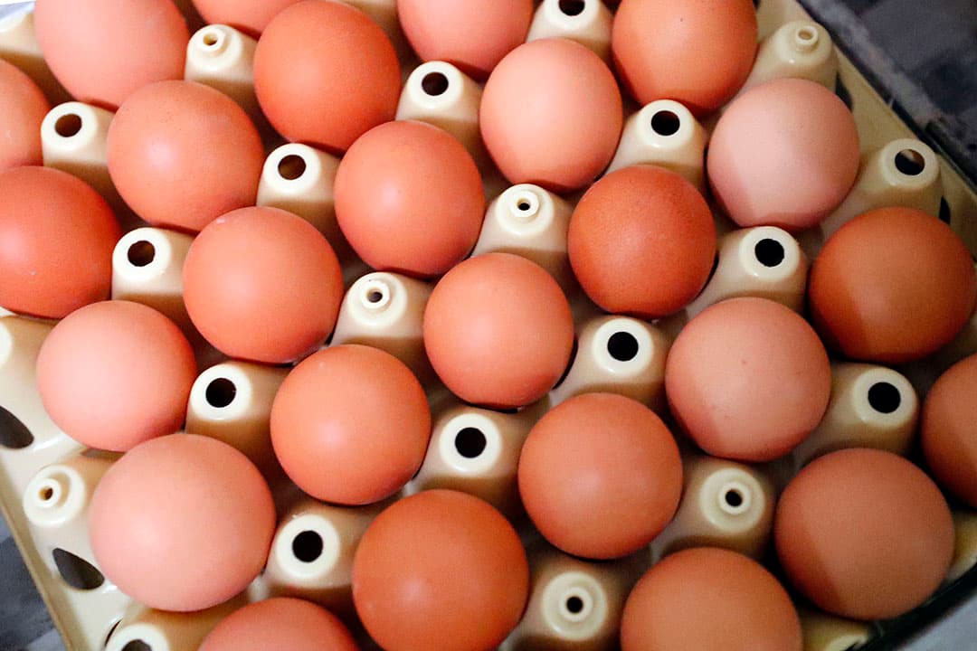 Foto: Bert Jansen