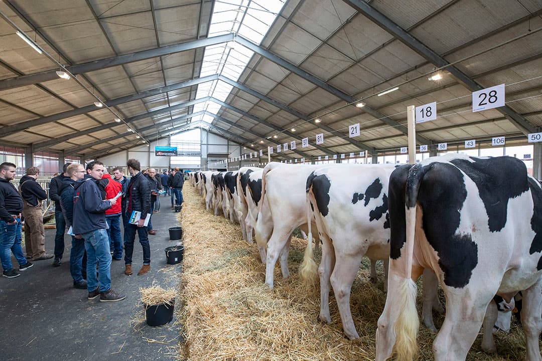Foto: Anne van der Woude
