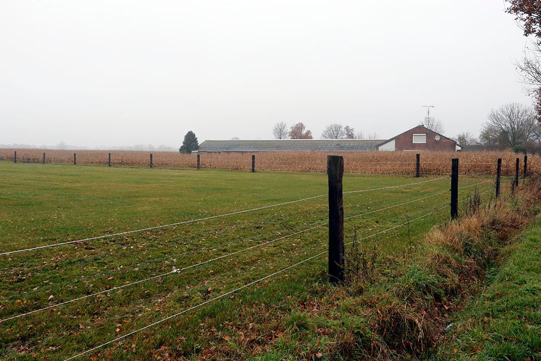Foto: Bert Jansen