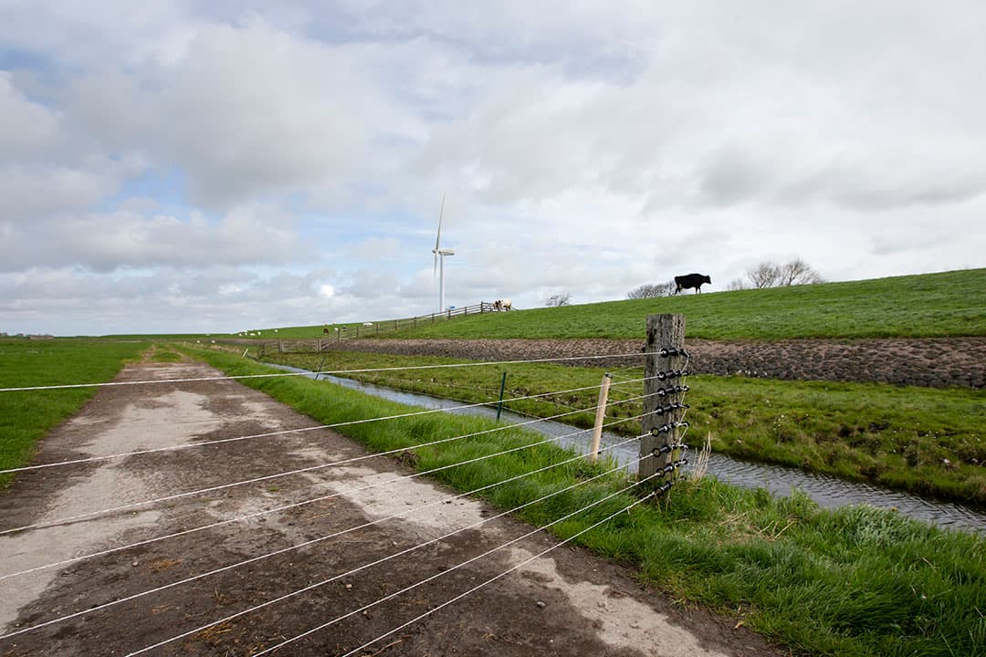 Foto: Anne van der Woude