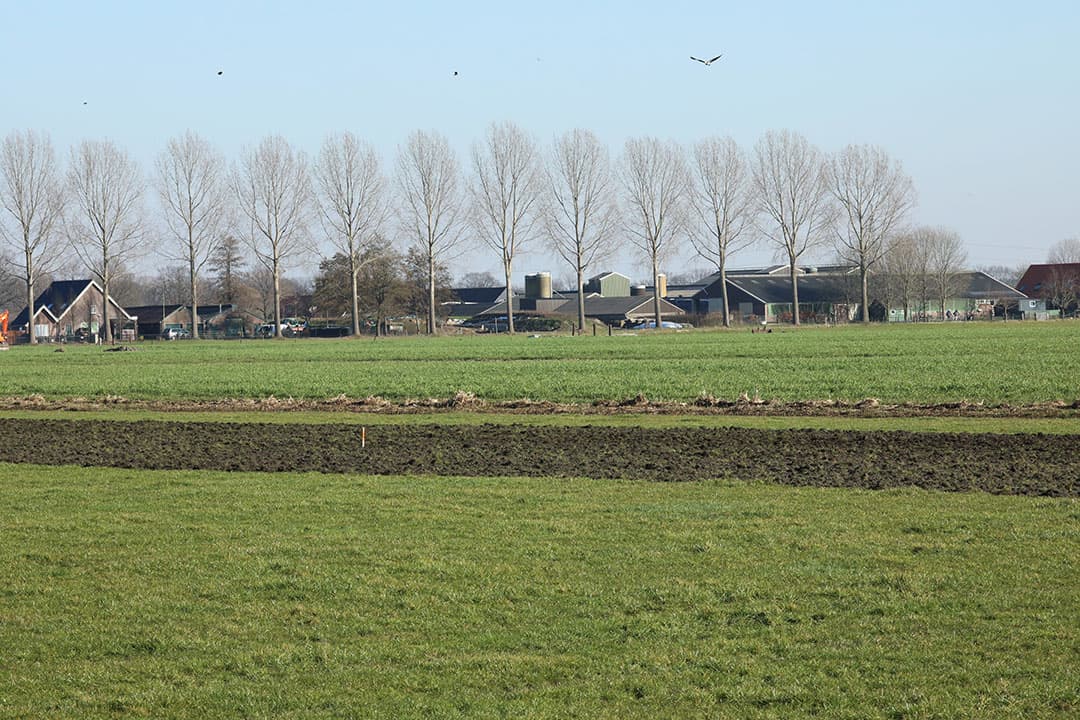 Foto: Henk Riswick