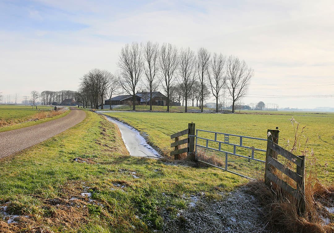 Foto: Ruud Ploeg