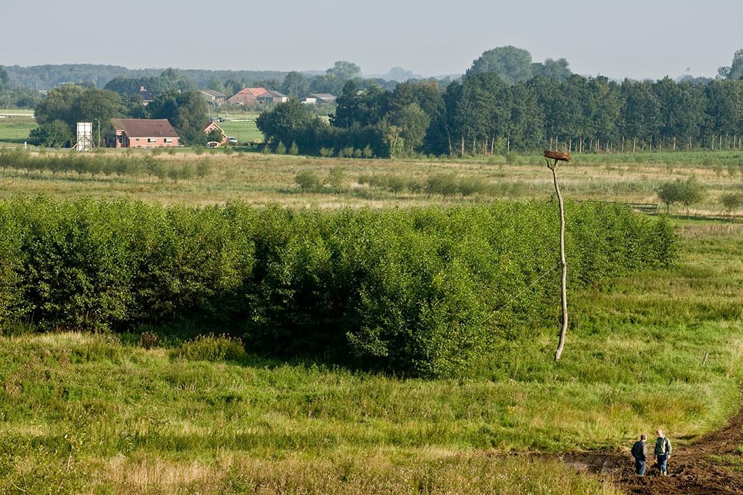Foto's: Koos Groenewold