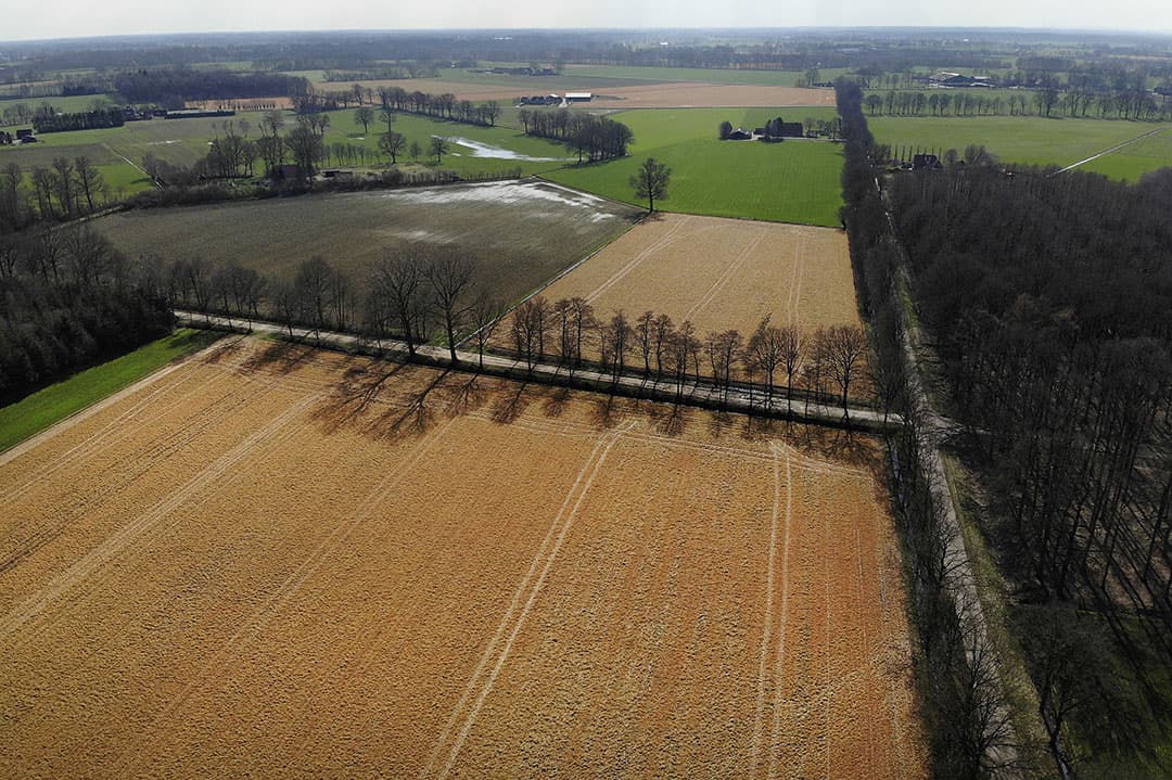 Foto: Hans Prinsen