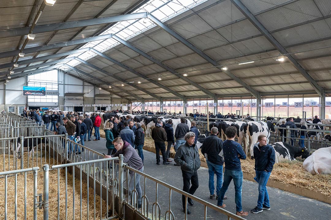 Veilingmeester Taaffe wordt bijgestaan door Ids Hellinga (links) en Brian Behnke. Zij vertellen kort over de achtergrond van de lotnummers en hebben tijdens de veiling een controlerende functie.