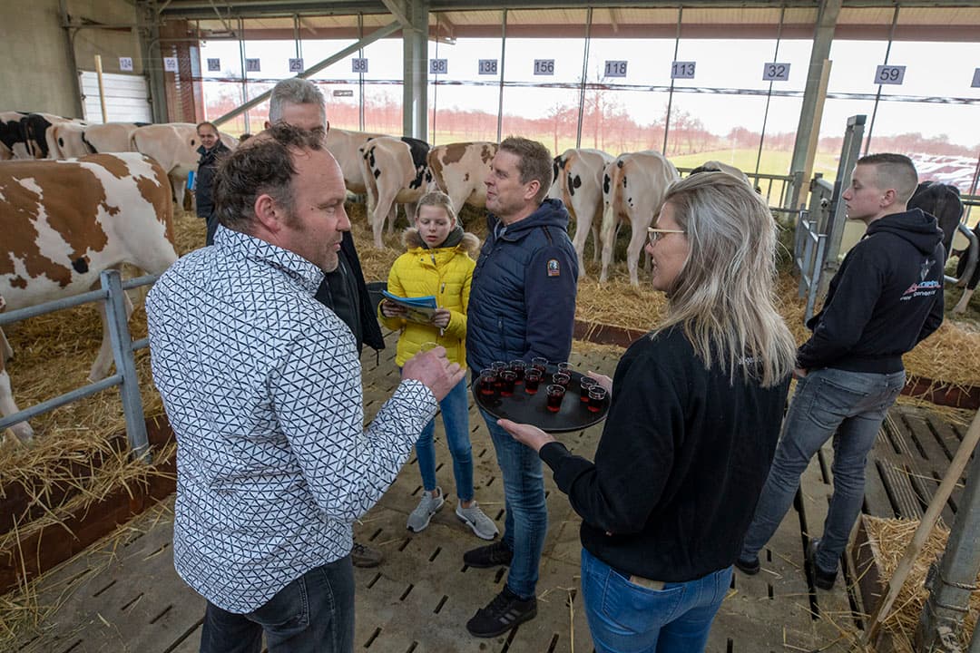 "Het betrof een unieke groep dieren, die we vrijwel allemaal zelf hebben gefokt", vertelt Langhout. ALH Genetics werkt met verschillende opfokbedrijven. De kalveren gaan op 3 maanden leeftijd naar de stal in Damwoude en worden na verloop van tijd verkocht. De betere dieren worden gespoeld. "De dieren kalven niet af in onze stal", vertelt Langhout.