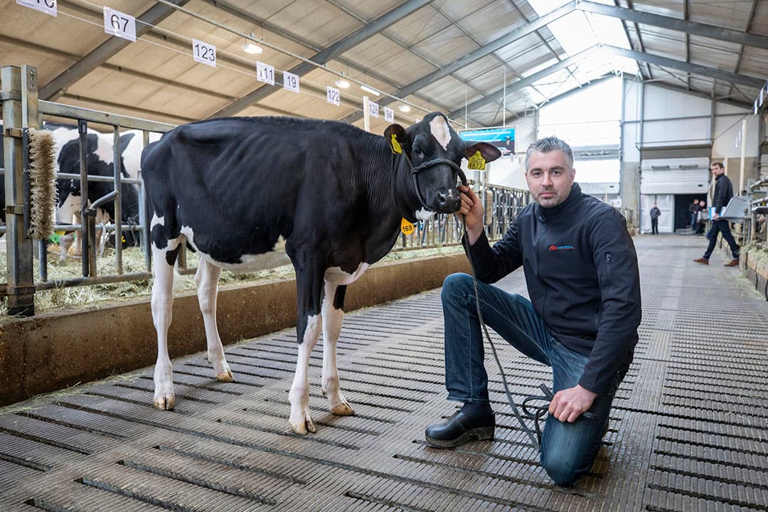Nog even de laatste voorbereidingen treffen op de veiling.