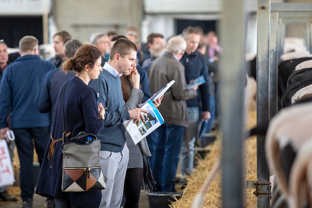 Mest wordt verwijderd en stro wordt aangevuld.