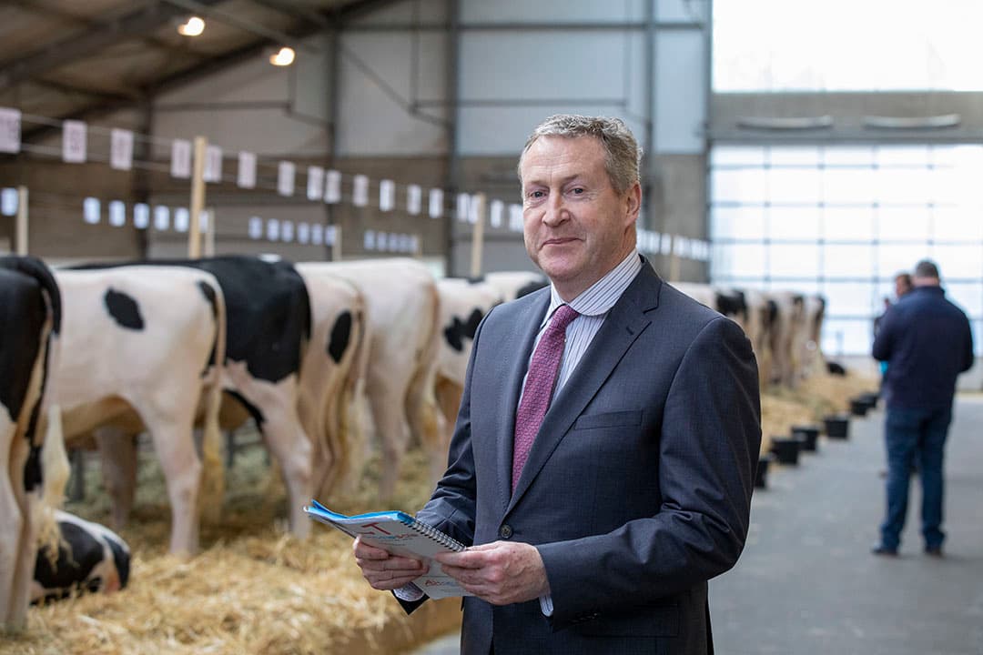 Voordat de veiling daadwerkelijk van start gaat, praten bezoekers over de kwaliteit van de dieren.