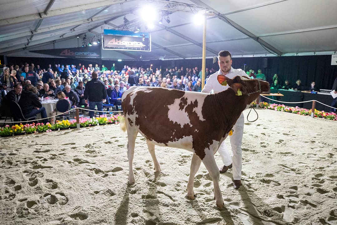 Even overleg plegen met het thuisfront.