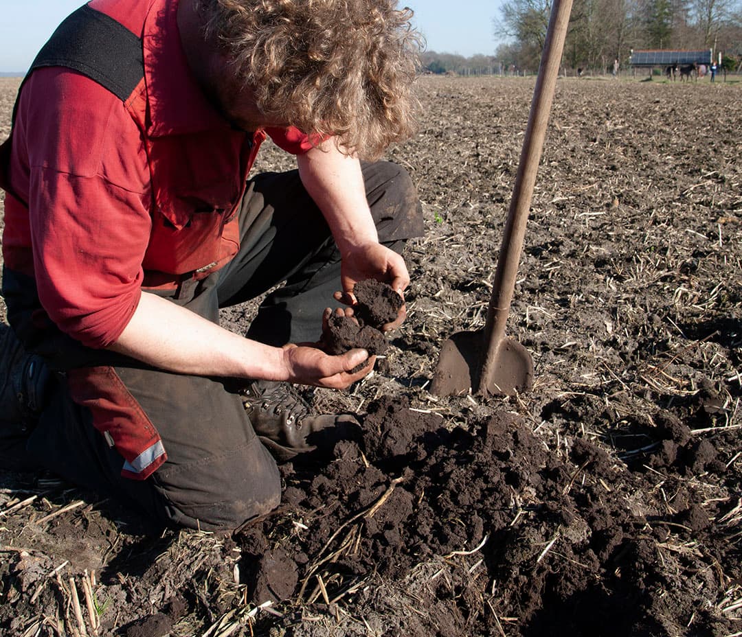 In een profielkuil bekijkt Wage de structuur van de grond. De kluit heeft een mooi breukvlak met meerdere wormengaten. - Foto: Hans Banus