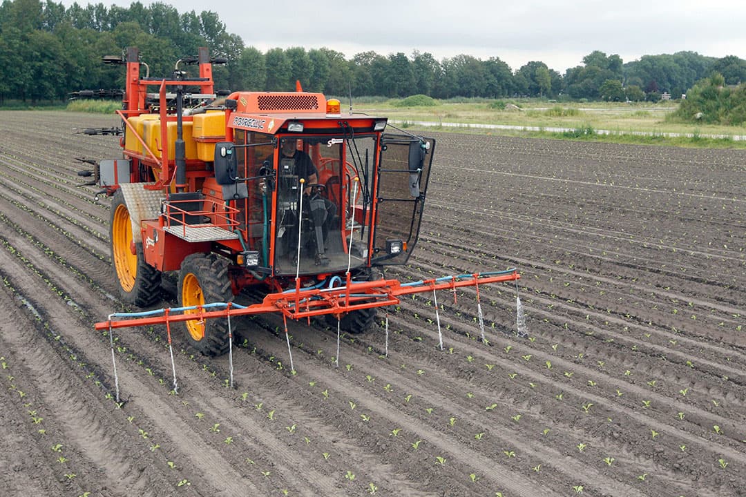 Foto: Bert Jansen