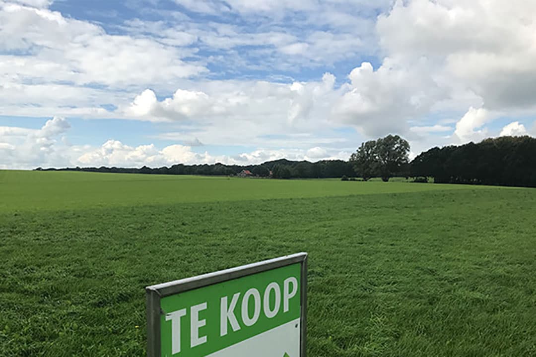 Foto: Martijn ter Horst