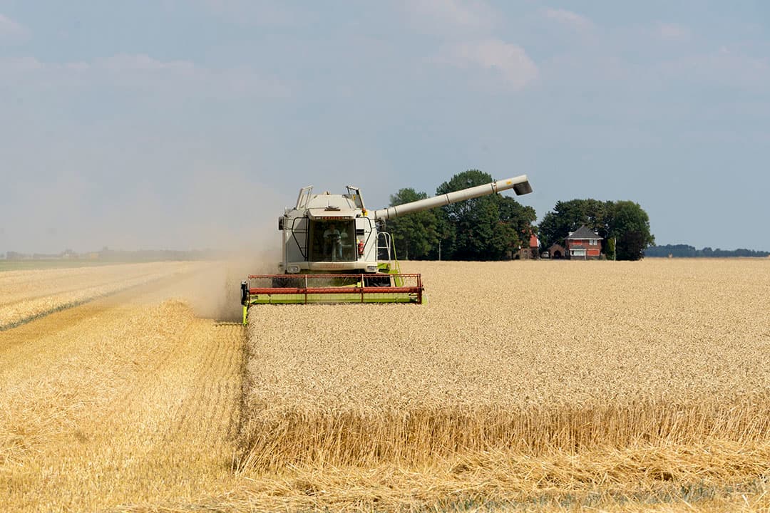 Foto: Jan Willem van Vliet