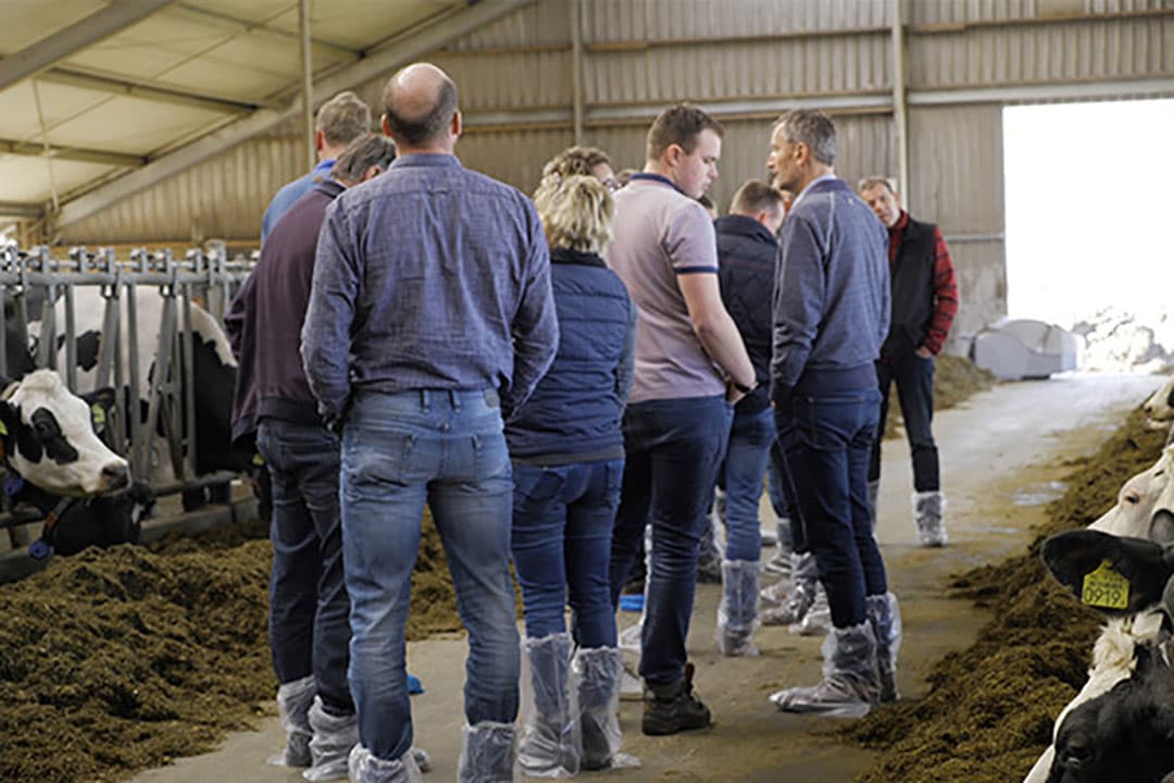Sturen op meer rendement uit voer
