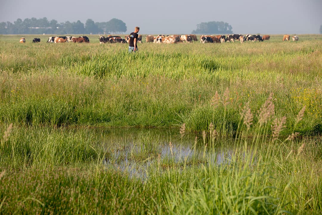 Foto: Anne van der Woude