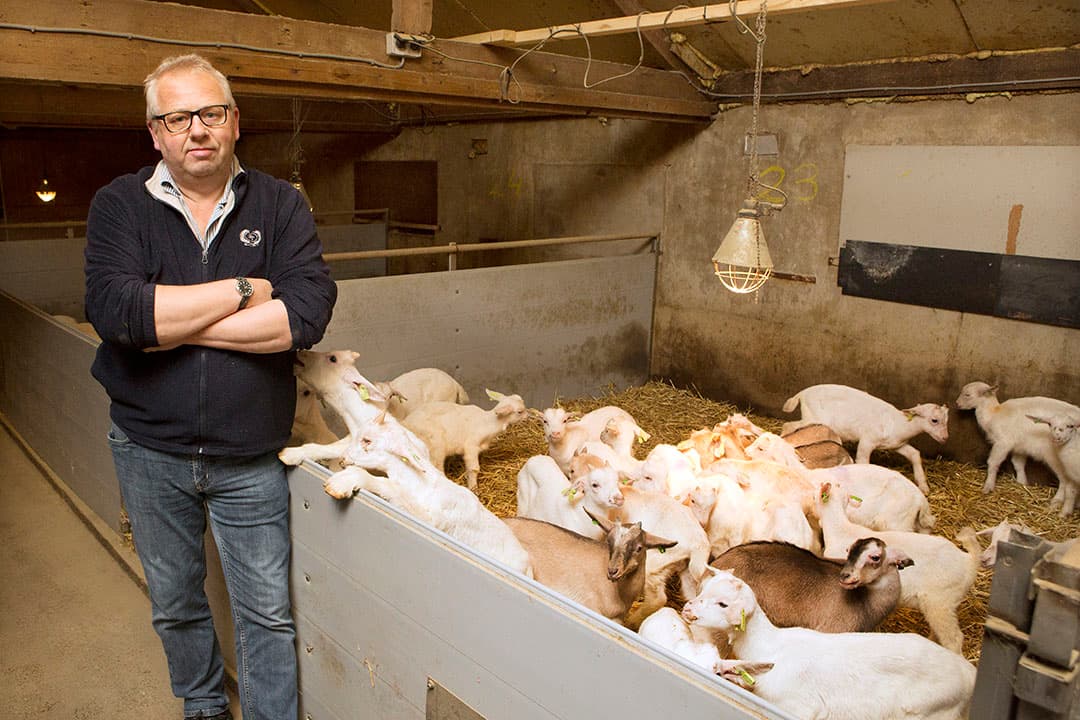 Bokkenmester Evert van Maanen (56) in de stal. - Foto: Ton Kastermans