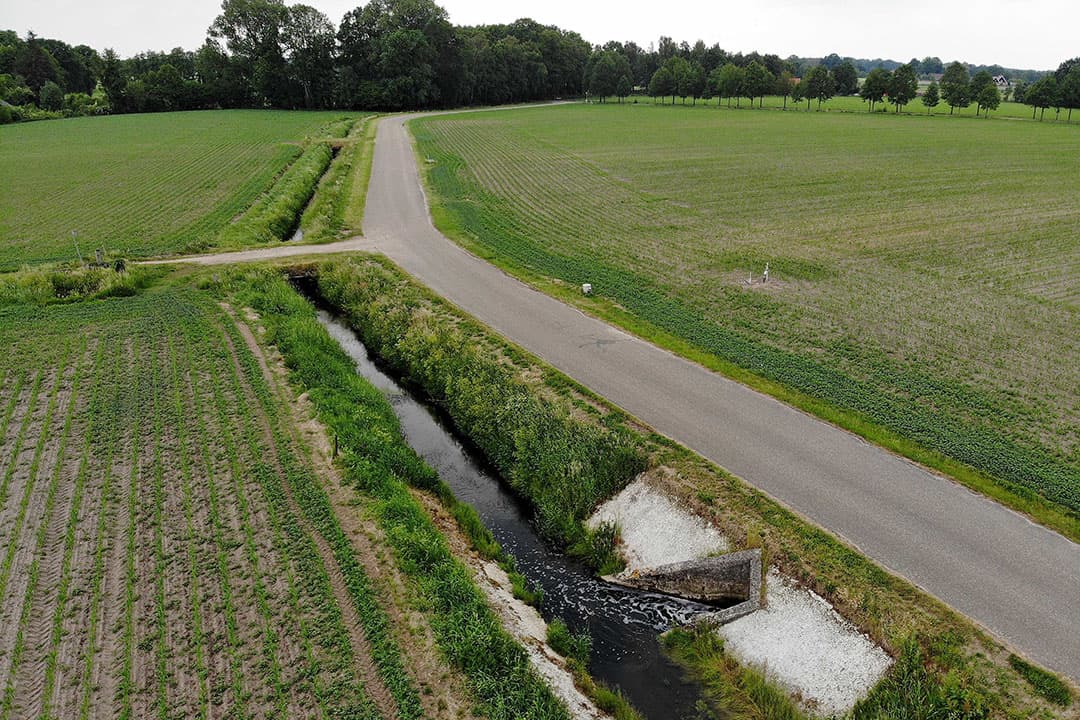 Foto: Hans Prinsen
