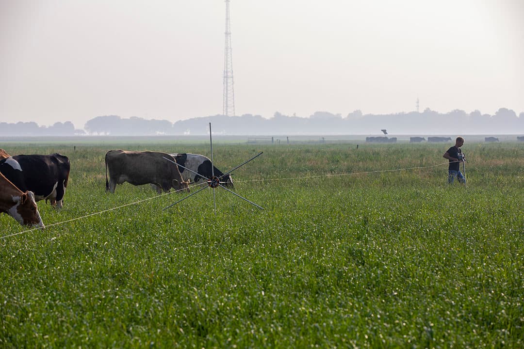 Foto: Anne van der Woude