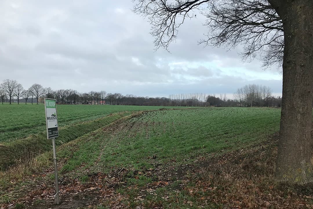 Foto: Martijn ter Horst