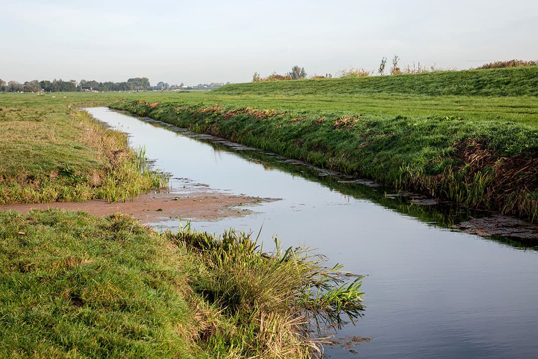 Foto: Herbert Wiggerman