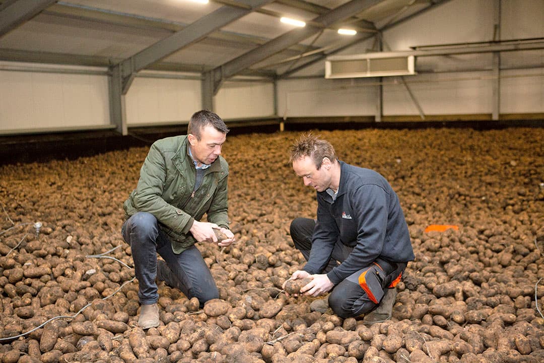 Marten Scheepsma van Aviko Potato en aardappelteler Harry Bakker uit Zeewolde (Fl.) controleren een partij Innovator. - Foto: Ton Kastermans Fotografie
