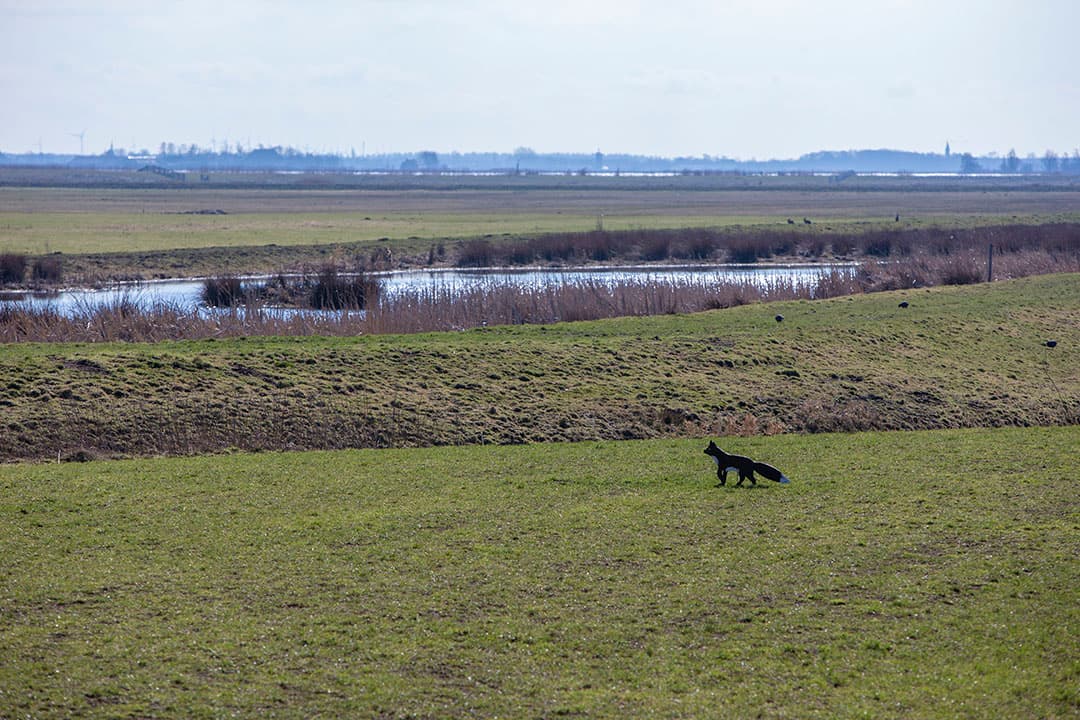 Foto's: Anne van der Woude