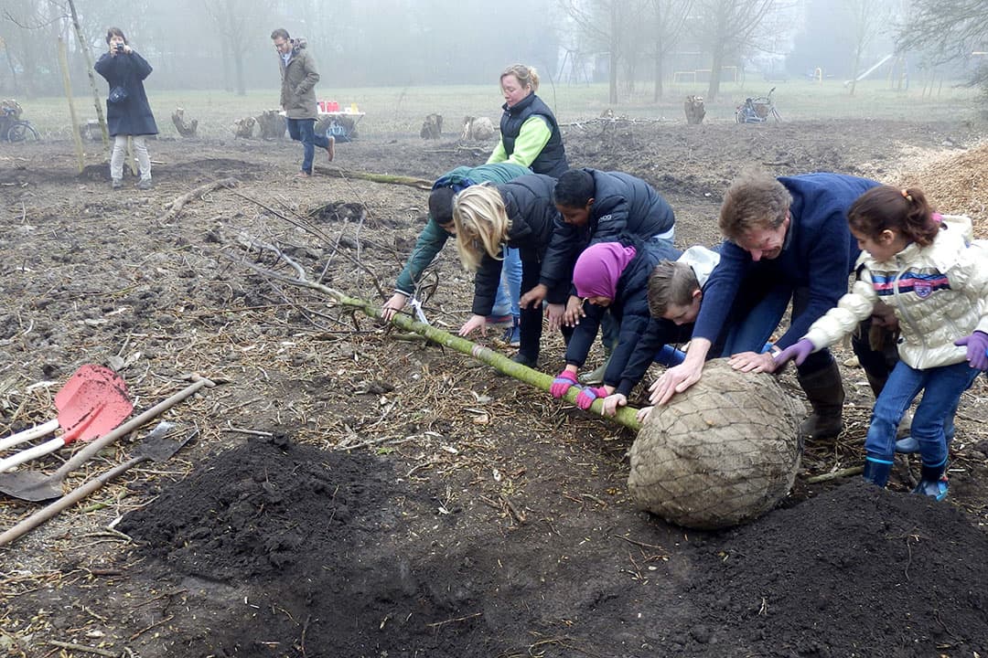 Foto: Voedselbos Vlaardingen