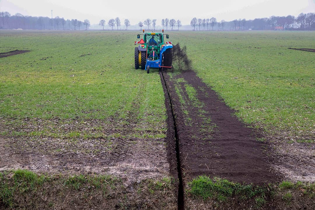 Foto: Koos van der Spek