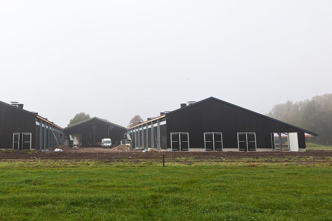 Foto: Joris Telders