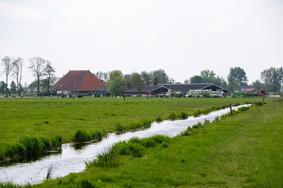 Foto: Anne van der Woude