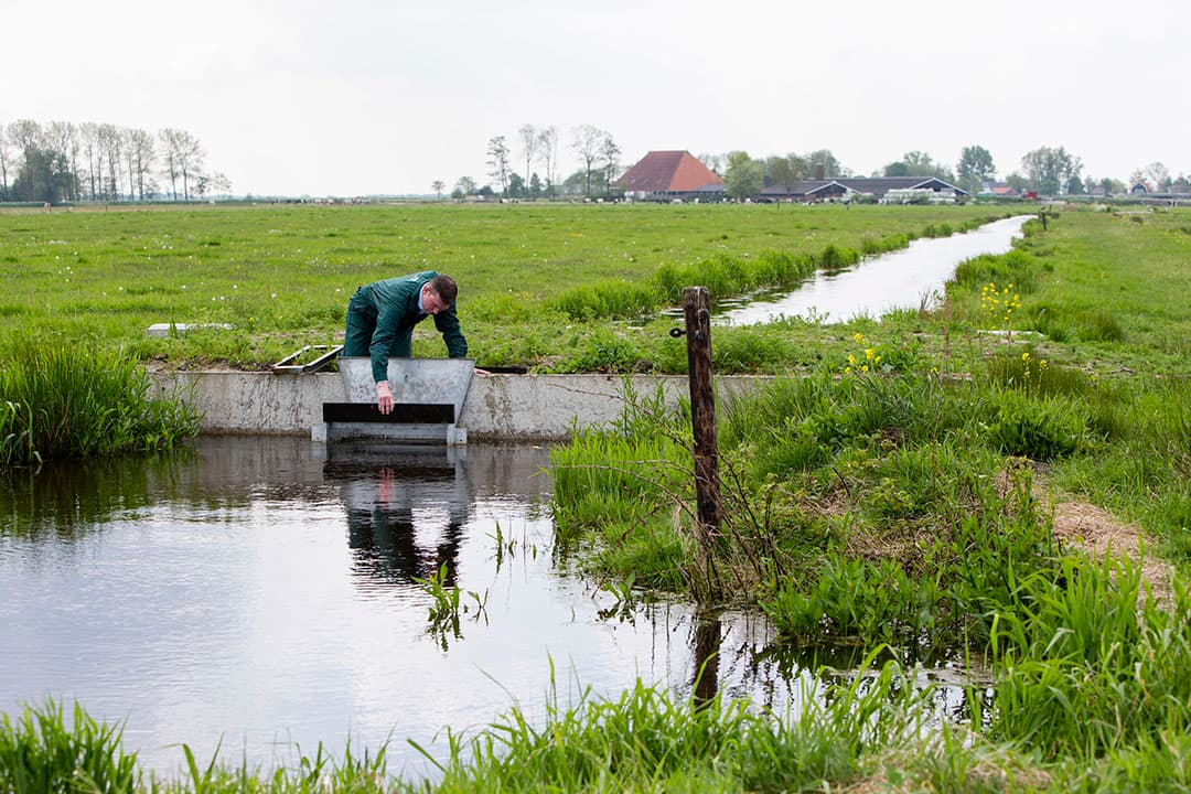 Foto: Anne van der Woude