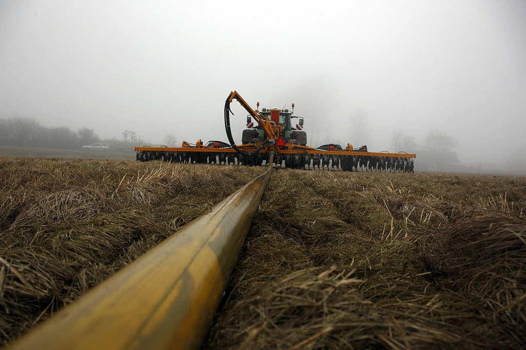 Foto: Hans Prinsen