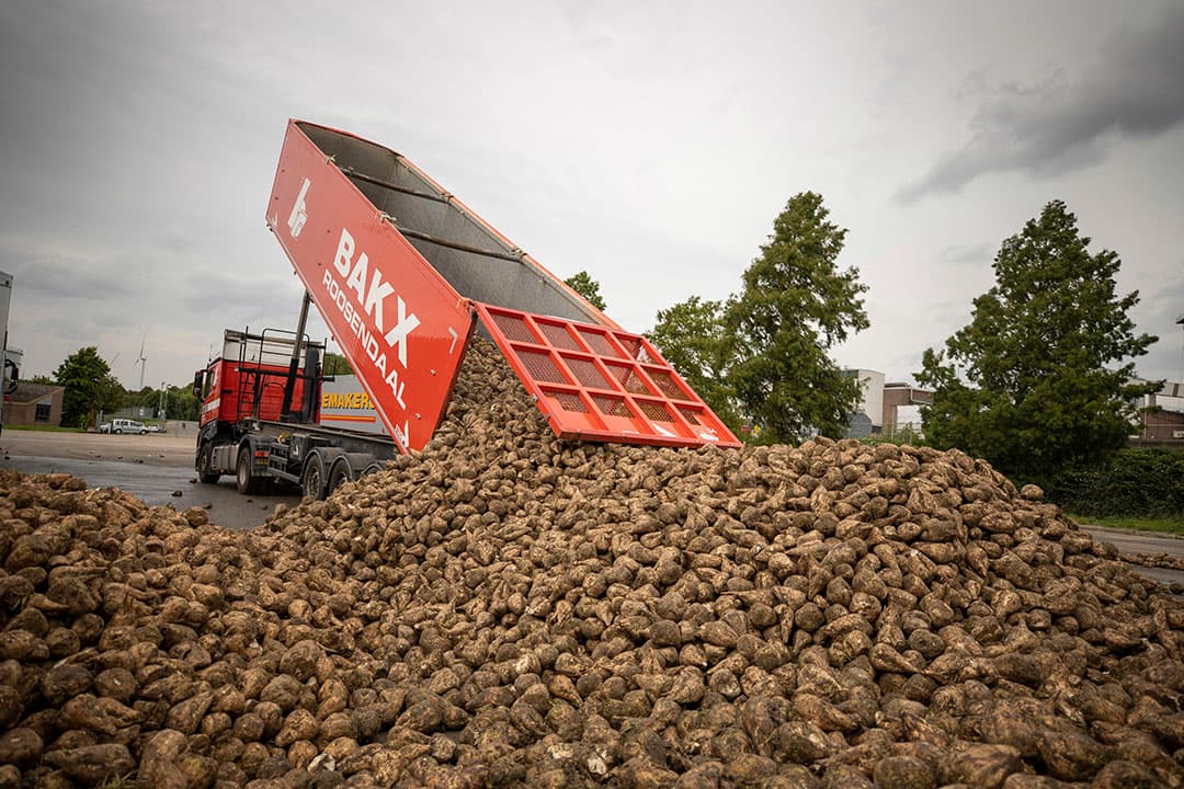 Foto: Roel Dijkstra