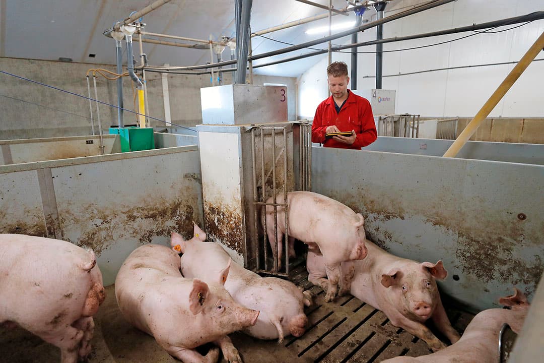 Foto: Bert Jansen