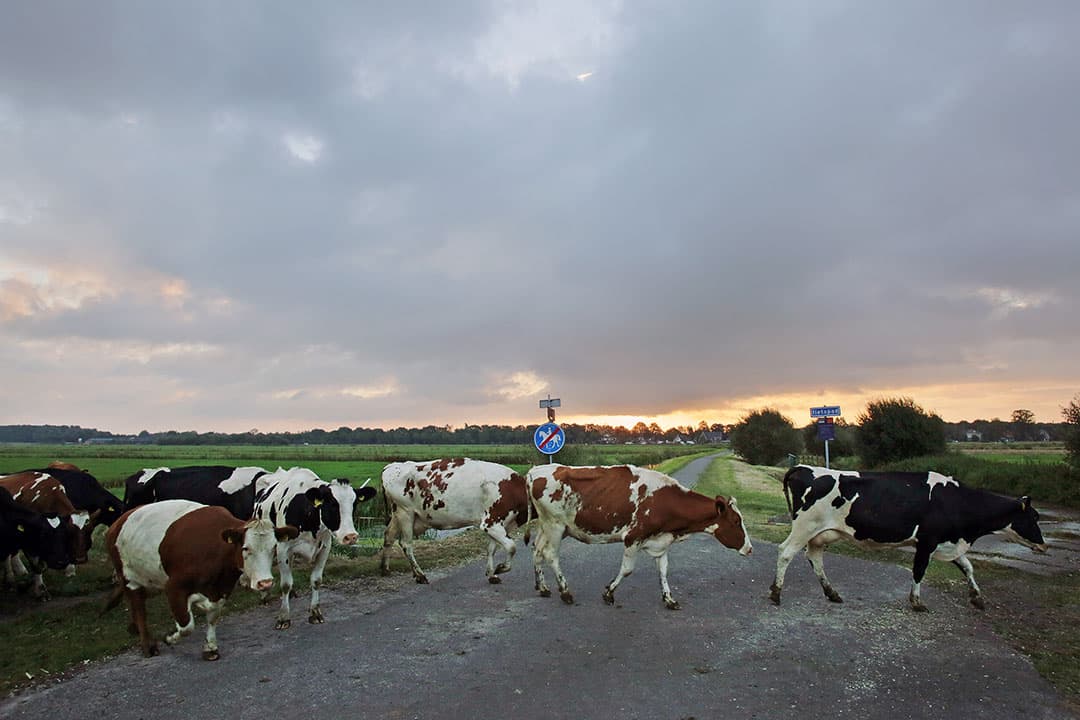 Foto: Ton Kastermans Fotografie