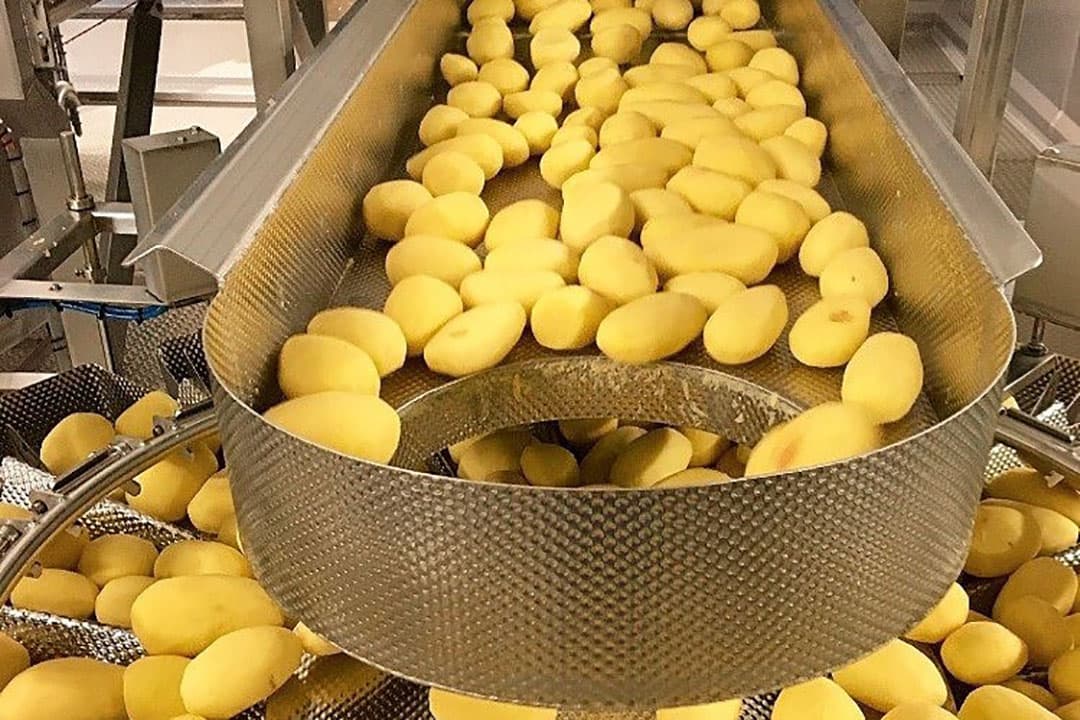 Aromata s in de schillerij. De aardappelen worden geschild voor de Foodservice en Retail markt in Nederland.